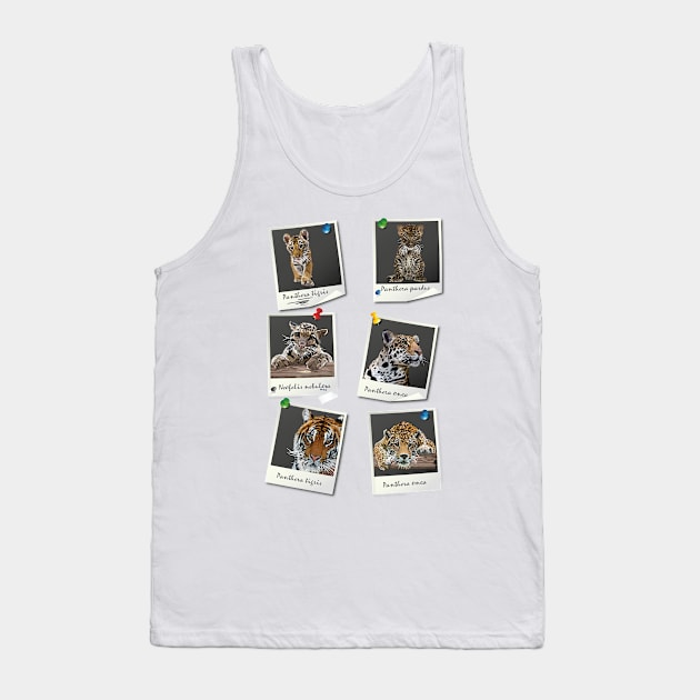 felines Tank Top by obscurite